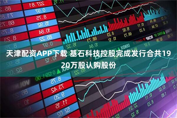 天津配资APP下载 基石科技控股完成发行合共1920万股认购股份
